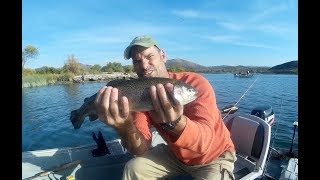 Lake Skinner stocking trout [upl. by Penland]