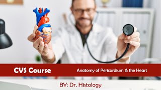 Anatomy of the Pericardium amp the Heart CVS Module [upl. by Tenenbaum]