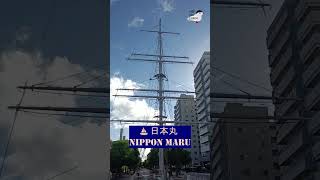 ⛵ Art and Heritage on Nippon Maru  En Route to Mikasa Museum thearcturn shorts  TheArcTurn [upl. by Anaicul]