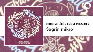 Groove Lélé amp Ernst Reijseger  Sagrin mikro [upl. by Dietrich462]