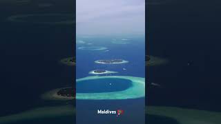 Maldives Fly to Dreamland [upl. by Bowlds669]