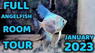 Angelfish Room Tour January 2023 [upl. by Naimed]