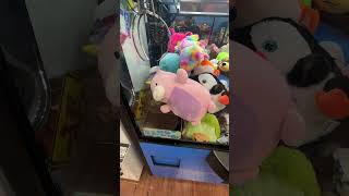 Rare Walmart Arcade Claw Machine WINS [upl. by Aidahs]