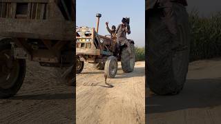 Tractor wale ne saanp dekh kar tractor rok lia [upl. by Ellehc306]