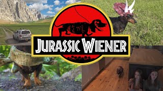 Ep 1 quotJurassic Wienerquot  Dachshund Dinosaurs [upl. by Rolyab35]