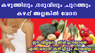 കഴുത്തിലും നടുവിലും പുറത്തും കഴപ്പ് അല്ലങ്കിൽ വേദന യഥാർത്ഥ കാരണം ഇതാണ് Baijus Vlogs [upl. by Luis]