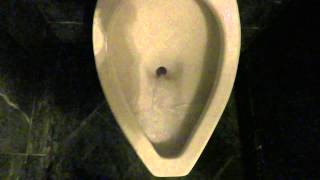 Bathroom Tour American Standard Urinal and Toilet Intercontinental Hotel Kansas City [upl. by Salvatore]