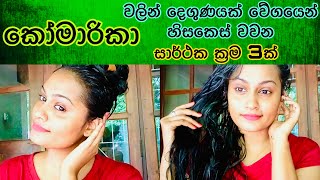 කෝමාරිකා වලින් කොන්ඩේ වවන සුපිරිම ක්‍රම 3ක්  Amazing Tips for Hair Regrowth with Aloe Vera [upl. by Dianuj]