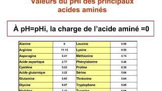 Les acides aminés Propriétés physico chimiques BIOCHIMIE PACES 1ére année médecine [upl. by Samoht]