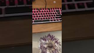 HyperX pudding keycaps on redragon k552 [upl. by Arahsat]