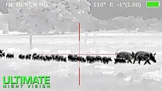 107 Hogs Down  Hog Hunting with Thermal Night Vision in Texas  Zeus Pro 640 [upl. by Jack898]