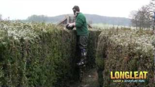 Longleat Maze Takes Hightech Approach to Hedge Trimming [upl. by Naman]