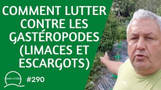 290Comment lutter contre les gastéropodes limaces et escargots [upl. by Kcirevam191]