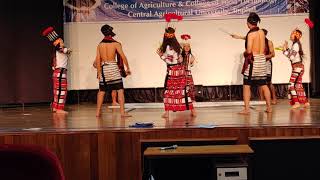 Best Mizo Dance in college [upl. by Akinnor]