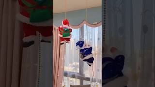 Christmas song  Jigl bel song Meri Christmas shortvideo [upl. by Bihas278]