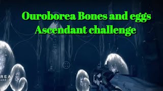 Ouroborea Eggs and bones Ascendant challenge Toland locationsDestiny 2 [upl. by Aicela]