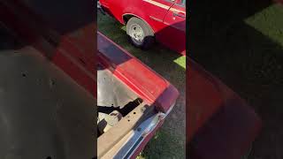 Barn Find Pontiac amp Pinto Wagon automobile barnfinds [upl. by Colan]