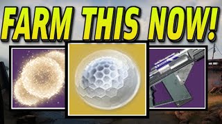 START DOING THIS NOW FAST amp EASY Ascendant Shards Bright Dust amp Exotics Farming Destiny 2 [upl. by Aretta]