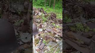 WWII Siegfried Line Museum Bad Bergzabern 28th of April 2024 [upl. by Ettenwad]