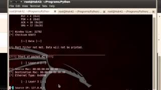 Python PakCap42py v10  Raw Socket Packet Capture [upl. by Zarihs]