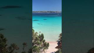 Spiaggia rosa di Budelli🇮🇹 italy travel sea beach romantic summer nature shorts [upl. by Aneer]