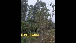 APPLE FARM KANTHALLOOR travel Tour [upl. by Odnalref]