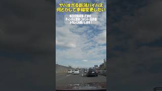 ヤバすぎる新潟バイパスで何とかして車線変更したい【悪路実況】 車載動画 新潟 新潟バイパス 危険運転 東北きりたん はにわドローン [upl. by Griffie]