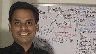 Macrolide Antibiotics  Mechanism Of Action  Uses 😊😊 [upl. by Soalokcin]
