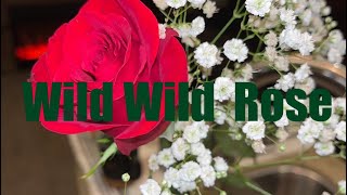 Wild Wild Rose original Jolinda Miller [upl. by Chadbourne190]