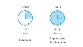 Getting familiar with anesthetics [upl. by Neivad]