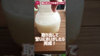 炊飯器で作る甘酒の作り方！〜麹の栄養たっぷり♡〜飲む点滴と言われる甘酒は家で作れちゃう！shorts [upl. by Nithsa]