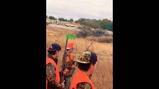 Kansas morning pheasant hunting hunting shotgunbird [upl. by Reivazx]