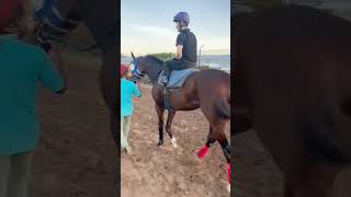 CAYMANAS PARK WELCOME JOCKEY DAISUKE FUKUMOTO FOR THE MOUTTET MILE caymanaspark horseracing [upl. by Nojel]