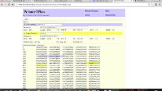 Tutorial Diseño de Iniciadores primers o cebadores con Primer3plus [upl. by Veron]