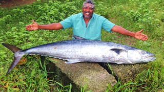 KING FISH FRY  KING FISH CUTTING  VANJARAM ULTIMATE FRY  SEER FISH GRAVY  FARMER COOKING [upl. by Blount]