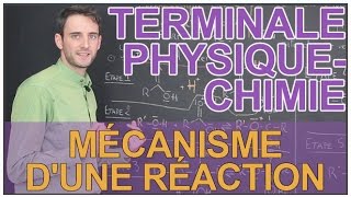 Mécanisme dune réaction  PhysiqueChimie  Terminale  Les Bons Profs [upl. by Cirdec623]