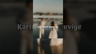 Karimizhi kuruviye slowed reverb  full song comment box pin hitsong trending cover music hit [upl. by Doughman]