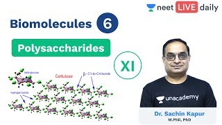 Biomolecules  Lecture 6  Polysaccharides  Class 11  Unacademy NEET  NEET Biology  Sachin Sir [upl. by Nyladnek]