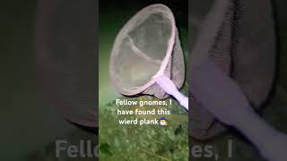 Weird plank🧙‍♂️ gnomesvsknights gnomes knights video viral shorts ancientwar medivalfantasy [upl. by Jacobsohn655]