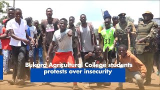 Bukura Agricultural College students protests over insecurity [upl. by Gert]