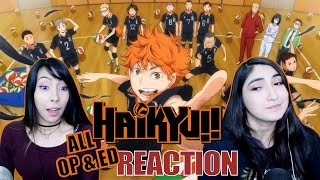 Haikyu OR HYPEKYU  Haikyu All Openings and Endings Reaction [upl. by Hsuk690]