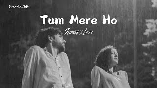 Tum Mere ho  Slowed  Reverb X Lofi   SlowedxLofi  Latest Lofi song 2024 Official Song [upl. by Fee]