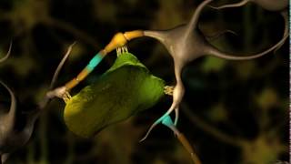 Neuronal Degeneration 3D [upl. by Mclain]