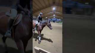 Hunter Equitation over fences 2”  Class A  Jayden PeeblesMuise riding Jazz [upl. by Eneloj]