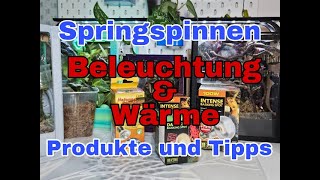 Springspinnen Beleuchtung amp Wärme  Produkte und Tipps [upl. by Lester]