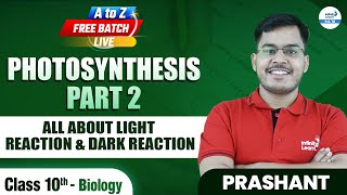 Photosynthesis Part 2  All About Light Reaction amp Dark Reaction  Class 10 Biology  LIVE [upl. by Rodavlas]