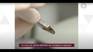 Uso de bactéria para combater a dengue [upl. by Kenyon]