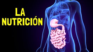 La FUNCIÓN DE LA NUTRICIÓN  Procesos alimentos y nutrientes [upl. by Araeit909]