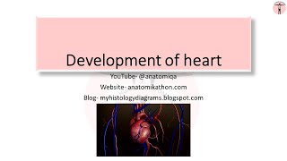 Development  Embryology of heart [upl. by Maris]