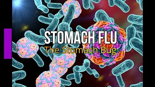 Stomach Flu The Stomach Bug [upl. by Vevay]